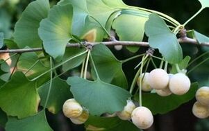 folk ways to enlarge penis